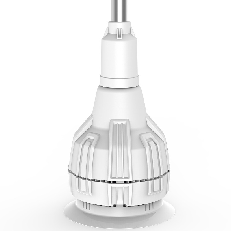 Tái kết Bulb